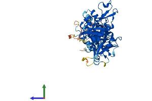 Protein Structure (PS) image for Nudix (Nucleoside Diphosphate Linked Moiety X)-Type Motif 12 (NUDT12) (AA 1-462) protein (His tag) (ABIN7561343)