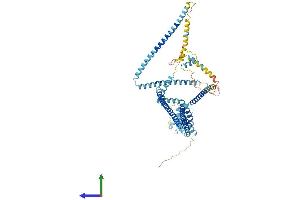 Protein Structure (PS) image for Coiled-Coil Domain Containing 93 (CCDC93) (AA 1-629) protein (His tag) (ABIN7558276)