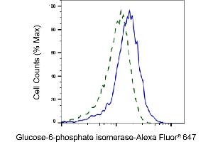 Validation of Glucose-6-phosphate isomerase knockdown using flow cytometry. (Rekombinanter GPI Antikörper)