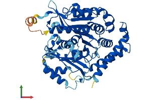 Protein Structure (PS) image for Tubulin, alpha-Like 3 (TUBAL3) (AA 1-446) protein (His tag) (ABIN7544353)