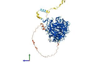 Protein Structure (PS) image for Coronin 7 (CORO7) (AA 1-925) protein (His tag) (ABIN7553544)