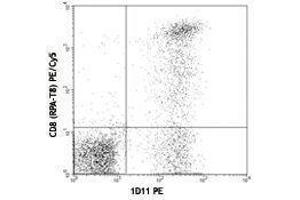 Flow Cytometry (FACS) image for anti-Killer Cell Lectin-Like Receptor Subfamily K, Member 1 (KLRK1) antibody (PE) (ABIN2663353)