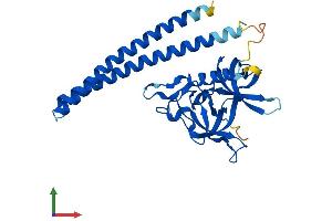 Protein Structure (PS) image for Coiled-Coil Domain Containing 101 (CCDC101) (AA 1-293) protein (His tag) (ABIN7546036)