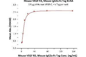 ELISA image for Fms-Related Tyrosine Kinase 4 (FLT4) (AA 25-770) (Active) protein (Fc Tag) (ABIN5954972)