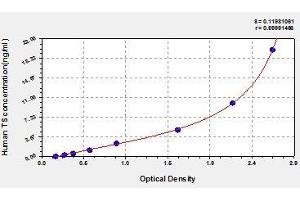 Typical standard curve (TYMS ELISA Kit)