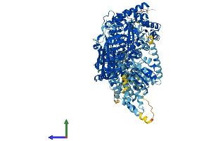 Protein Structure (PS) image for 5-Methyltetrahydrofolate-Homocysteine Methyltransferase (MTR) (AA 1-1265) protein (His tag) (ABIN7554552)