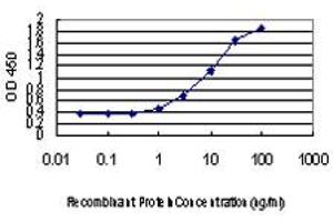 Detection limit for recombinant GST tagged DLX2 is approximately 1ng/ml as a capture antibody. (DLX2 Antikörper  (AA 1-110))