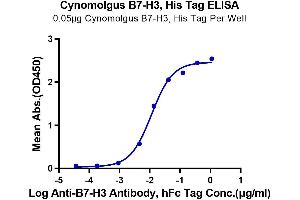 Immobilized Cynomolgus B7-H3, His Tag at 0. (CD276 Protein (CD276) (AA 29-465) (His tag))