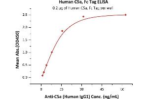 ELISA image for Complement Component 5a (C5a) (AA 679-751) (Active) protein (Fc Tag) (ABIN6938863)