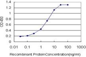 Detection limit for recombinant GST tagged EPHB3 is approximately 0. (EPH Receptor B3 Antikörper  (AA 899-997))