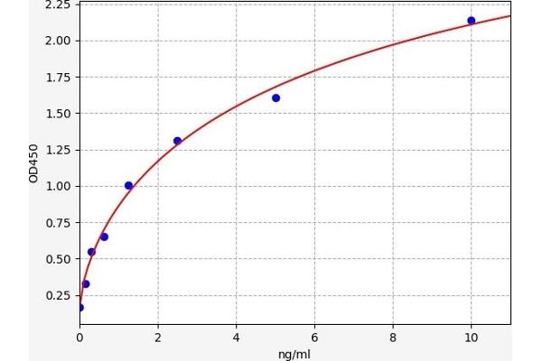 CYP26A1 ELISA Kit