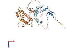 ZSCAN4 Protein (AA 1-433) (His tag)