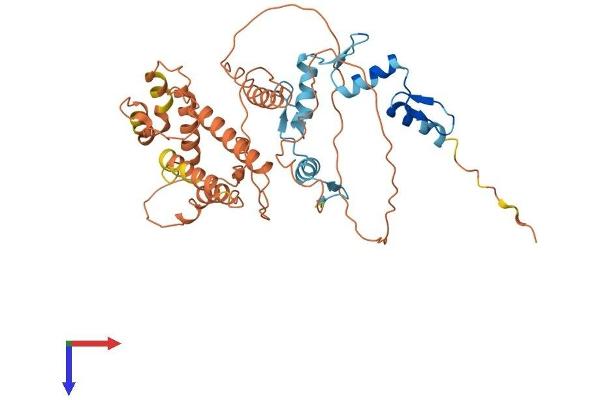 ZSCAN4 Protein (AA 1-433) (His tag)
