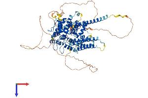 GIT1 Protein (GIT1) (AA 1-770) (His tag)