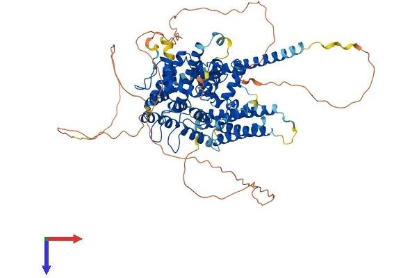 GIT1 Protein (GIT1) (AA 1-770) (His tag)
