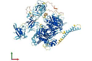 Protein Structure (PS) image for Phospholipase C gamma 2 (PLCG2) (AA 1-1265) protein (His tag) (ABIN7564594)