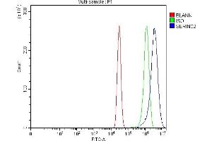 Flow Cytometry analysis of A431 cells using anti-SERINC2 antibody (ABIN7602193). (SERINC2 Antikörper  (AA 62-378))