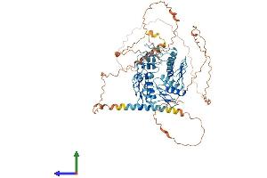 Protein Structure (PS) image for Zinc Finger Protein 180 (ZNF180) (AA 1-692) protein (His tag) (ABIN7545644)