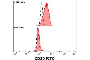 anti-Tumor Necrosis Factor Receptor Superfamily, Member 8 (TNFRSF8) antibody (FITC)