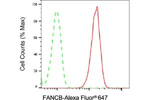 Flow cytometric analysis of FANCB expression in C2C12 cells using FANCB antibody (ABIN7798564), 1:2,000).