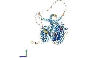 Protein Structure (PS) image for DEAH (Asp-Glu-Ala-His) Box Polypeptide 16 (DHX16) (AA 1-1041) protein (His tag) (ABIN7553664)