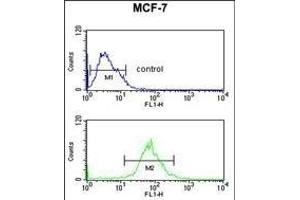AIM2 Antibody (N-term) (ABIN653833 and ABIN2843099) flow cytometric analysis of MCF-7 cells (bottom histogram) compared to a negative control cell (top histogram). (AIM2 Antikörper  (N-Term))