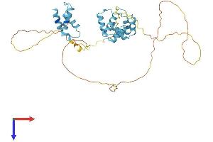 DEK Protein (AA 1-380) (His tag)