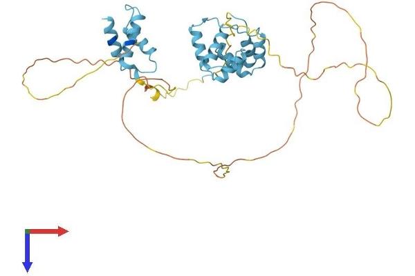 DEK Protein (AA 1-380) (His tag)