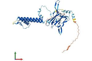 Protein Structure (PS) image for Potassium Inwardly-Rectifying Channel, Subfamily J, Member 11 (KCNJ11) (AA 1-390) protein (His tag) (ABIN7557733)