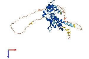 MAGEA12 Protein (AA 1-314) (His tag)