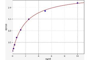 Chemokine (C-X-C Motif) Ligand 12 (CXCL12) ELISA Kit