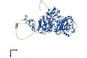 ENPP1 Protein (AA 1-925) (His tag)