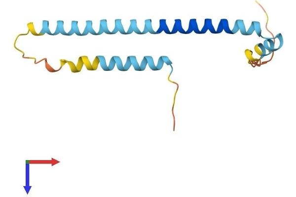 TSC22D3 Protein (AA 1-134) (His tag)