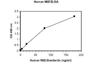 ELISA image for Enolase 2 (Gamma, Neuronal) (ENO2) ELISA Kit (ABIN1305165)