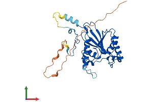 Protein Structure (PS) image for Phosphoglycerate Mutase Family Member 5 (PGAM5) (AA 1-289) protein (His tag) (ABIN7550665)