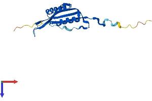 MRPS10 Protein (AA 1-160) (His tag)