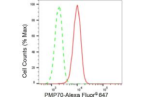 Flow cytometric analysis of PMP70 expression in H9c2 cells using PMP70 antibody (ABIN7797687), 1:2,000). (Rekombinanter PMP70 Antikörper)