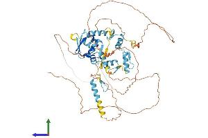 AlphaFold protein structure predicition of Human Recombinant ZBTB44 Protein, UniprotID Q8NCP5