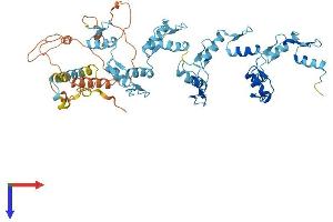 AlphaFold protein structure predicition of Human Recombinant ZNF880 Protein, UniprotID Q6PDB4