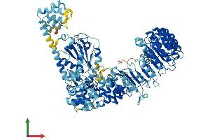 Protein Structure (PS) image for NLR Family, Pyrin Domain Containing 9C (NLRP9C) (AA 1-1004) protein (His tag) (ABIN7563998)