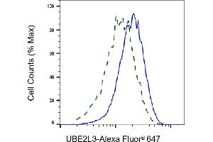Validation of UBE2L3 knockdown using flow cytometry. (Rekombinanter UBE2L3 Antikörper)