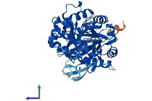 Protein Structure (PS) image for Amidohydrolase Domain Containing 2 (AMDHD2) (AA 1-409) protein (His tag) (ABIN7549685)