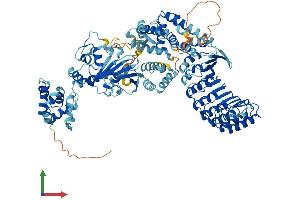 AlphaFold protein structure predicition of Mouse Recombinant Nod1 Protein, UniprotID Q8BHB0