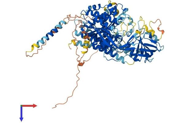 NAALADL2 Protein (AA 1-795) (His tag)