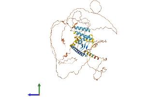 Protein Structure (PS) image for Holliday Junction Recognition Protein (HJURP) (AA 1-667) protein (His tag) (ABIN7564127)