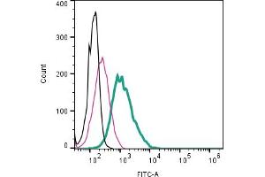 Cell surface detection of Alpha-1A adrenergic receptor by direct flow cytometry in live intact mouse J774 macrophage cell line: + Rabbit IgG Isotype Control-FITC (ABIN7582044).