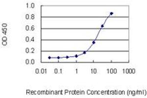 Detection limit for recombinant GST tagged ASB2 is 1 ng/ml as a capture antibody. (ASB2 Antikörper  (AA 1-587))