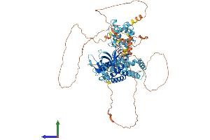 Protein Structure (PS) image for rho Guanine Nucleotide Exchange Factor (GEF) 7 (ARHGEF7) (AA 1-803) protein (His tag) (ABIN7552238)
