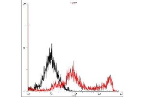 Flow Cytometry (FACS) image for anti-HHV6 gQ1 (AA 3-422) antibody (ABIN2452012) (HHV6 gQ1 (AA 3-422) Antikörper)