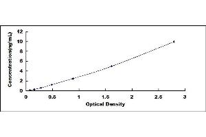 Typical standard curve (KRT20 ELISA Kit)